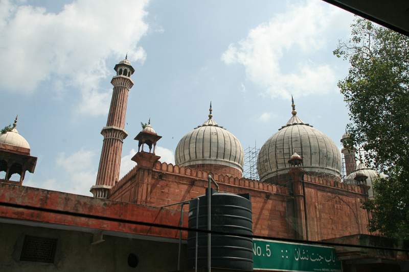 India & Nepal 2011 - 0055